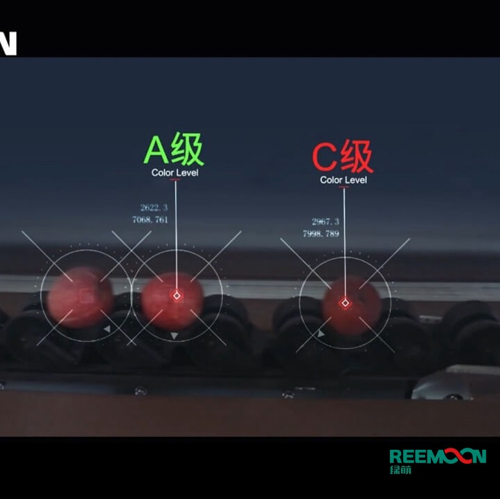 綠萌水果分選機(jī)多少錢？江西綠萌科技控股有限公司廠家直銷報(bào)價