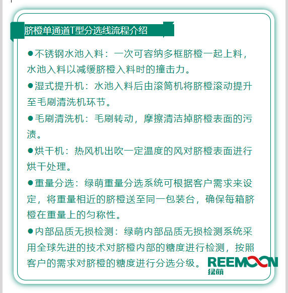 今年綠萌推出T型系列設(shè)備，專為中國果農(nóng)研制的高性價比的設(shè)備，具有功能齊全、小型輕便可移動、操作簡單、易維護(hù)的優(yōu)點(diǎn)。臍橙單通道分選線確保每箱分選過的臍橙個頭勻稱、糖酸度相近，有著穩(wěn)定的品質(zhì)，讓非標(biāo)準(zhǔn)的農(nóng)產(chǎn)品標(biāo)準(zhǔn)化。該分選線專門為中國小戶果農(nóng)定制，為客戶實(shí)地考察，根據(jù)客戶需求全流程設(shè)計(jì)，