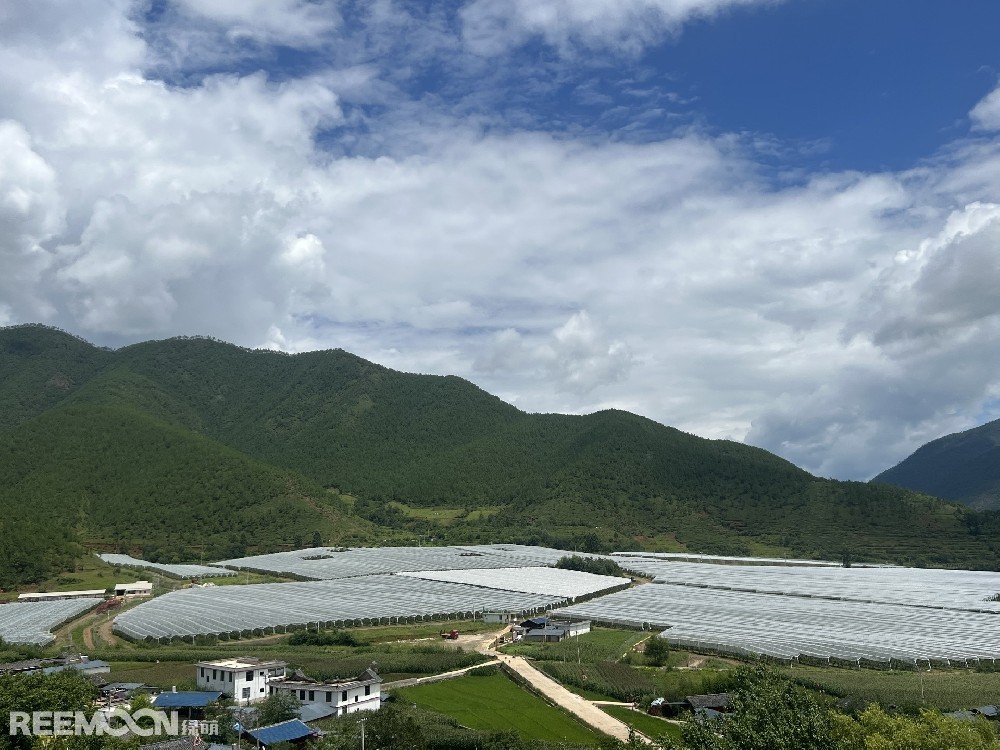 麗江市蘋果種植主產區(qū)海拔2400-2700米，良好的立體環(huán)境條件造就了麗江蘋果糖度高、果肉緊密、硬度高、無污染的品質特點。2019年，在全國種植產區(qū)的甄選中，鑫榮懋選定了云南省麗江市蘋果優(yōu)勢產區(qū)作為未來蘋果種植項目的實施地，目前已種植新西蘭引進的優(yōu)良蘋果品種。鑫榮懋以新品種、新技術及高品質為發(fā)展蘋果種植的新契機，